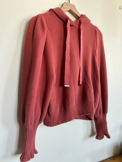 "Express" indian red sweater with hoodie - Size XS